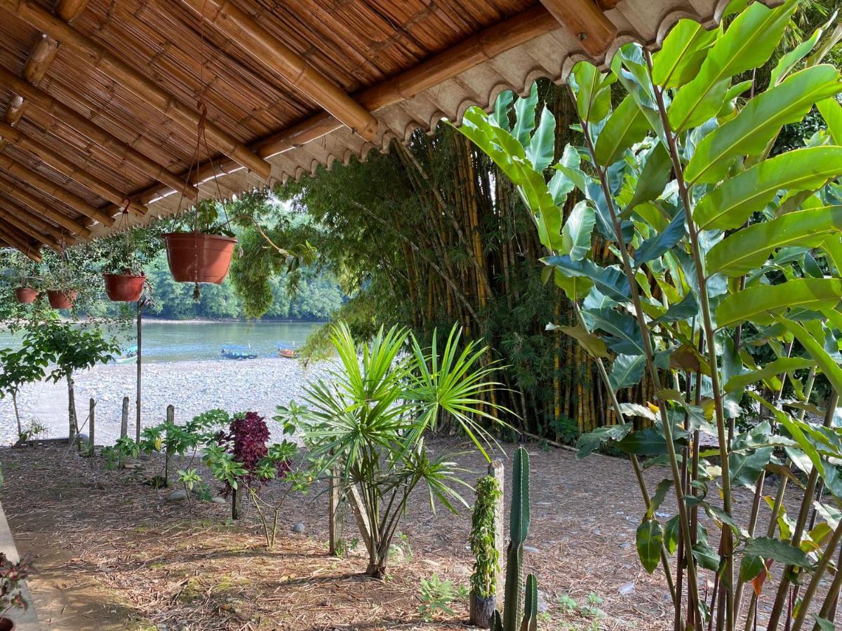 Playa Tortuga Apartment Puerto Misahuallí Екстериор снимка